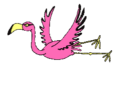 {animated flamingo2}