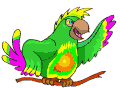 {animated parrot}