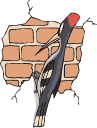 {animated woodpecker}