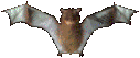 {bat}