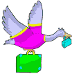 {animated bird suitcase}