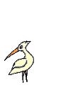 {animated bird worm}