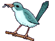 {animated bird worm2}