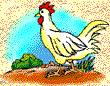 {animated chicken}