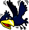 {animated crow2}