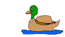 {animated duck}