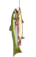 {fish 2}