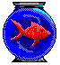 {fishbowl 4}