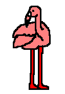 {animated flamingo}