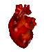 {heart}