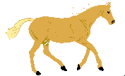 {animated horse}