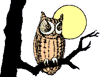 {animated owl}