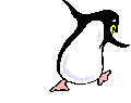 {animated penguin}
