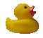 {animated rubber duck}