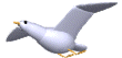 {animated seagull2}
